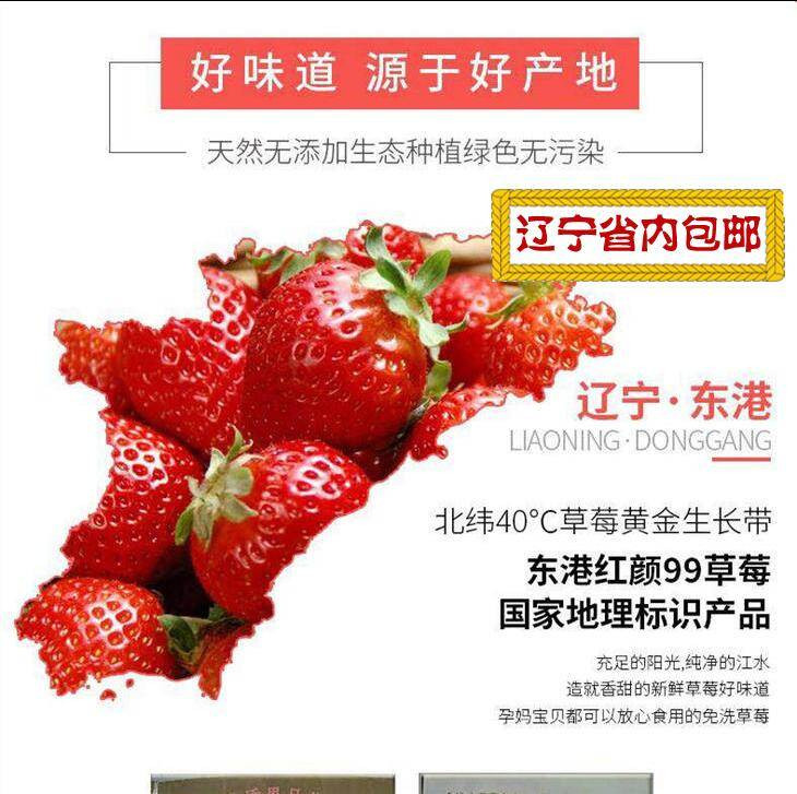 【预售】【阜新馆】 正宗东港久久草莓3斤 将于19年1月5日发货