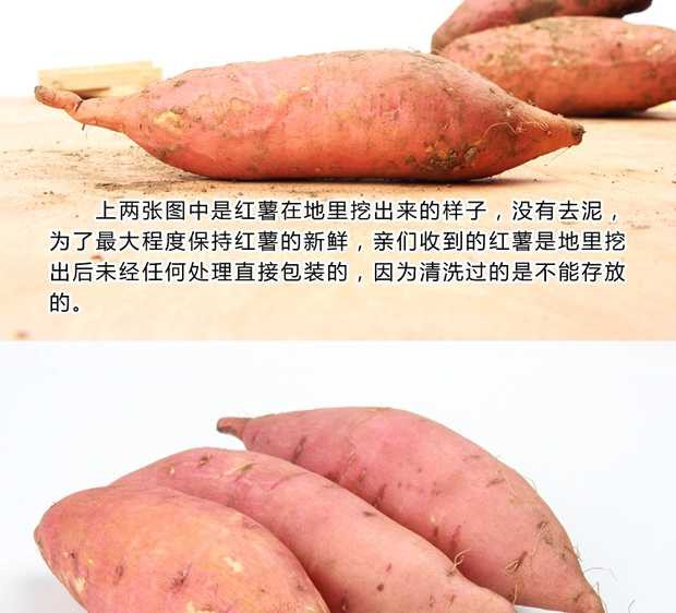 【预售】辽宁彰武沙地红心稀壤蜜薯 5斤/箱 包邮