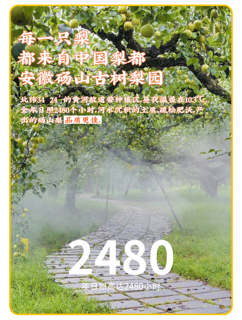 龙润堂记 【消费帮扶】秋梨膏分享装 300g*2