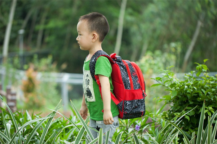 芝麻宝贝 卡通书包小学生儿童卡通3D蜘蛛侠幼儿园1-3-6年级拉杆双肩包大中小号