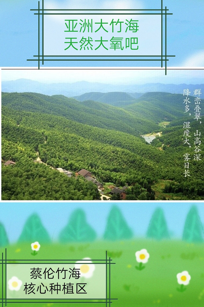 【耒阳专柜】端午特惠（6月14—6月25）水木芙蓉竹海午时粽茶耒阳新八景礼盒装（红茶系列）