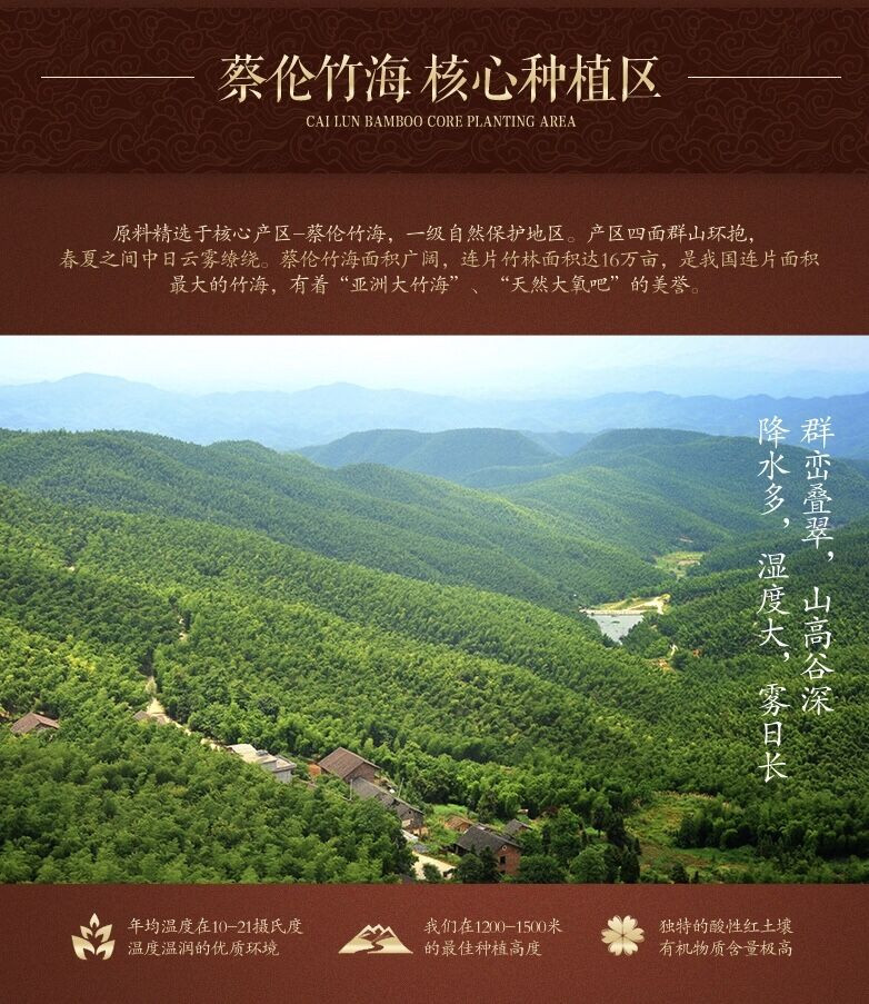 【耒阳专柜】端午特惠（6月14—6月25）水木芙蓉竹海午时粽茶高端礼盒装（红茶系列）