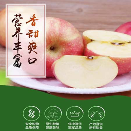 【营口馆】寒富苹果3斤全国包邮（不含新疆、西藏、青海、港澳台、北京）