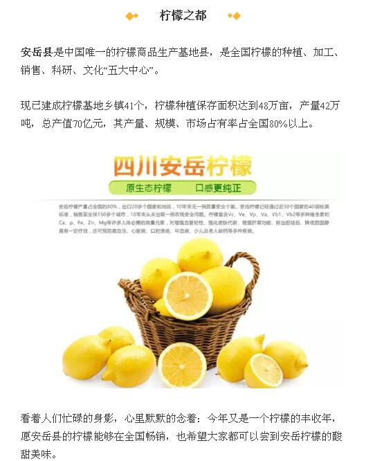 【麦浪农业】  安岳柠檬 新鲜黄柠檬一级果5斤装 酵素榨汁水果现发包邮