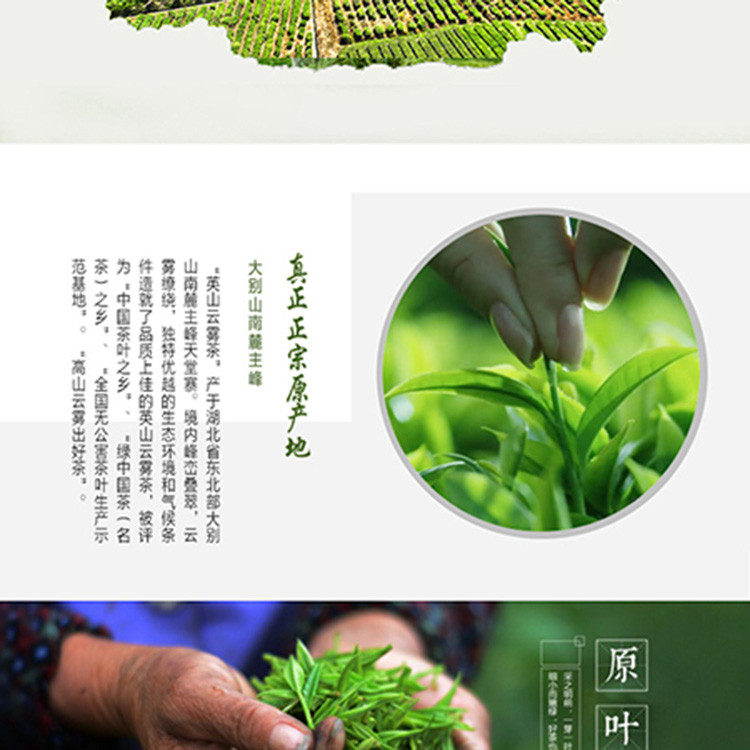 大广牌 【楚天好茶】珍眉绿茶-250g袋装春茶经典品质（广大茶业)