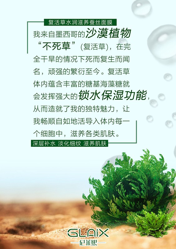 【纪莱熙】纪莱熙复活草 面膜 补水收缩毛孔修复抗痘抗过敏孕妇可用　全国包邮