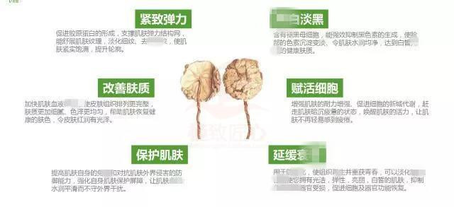 正品纪莱熙新品 冻肽植物胎盘素水喷雾&amp;冻肽乳&amp;润养霜三件套包邮