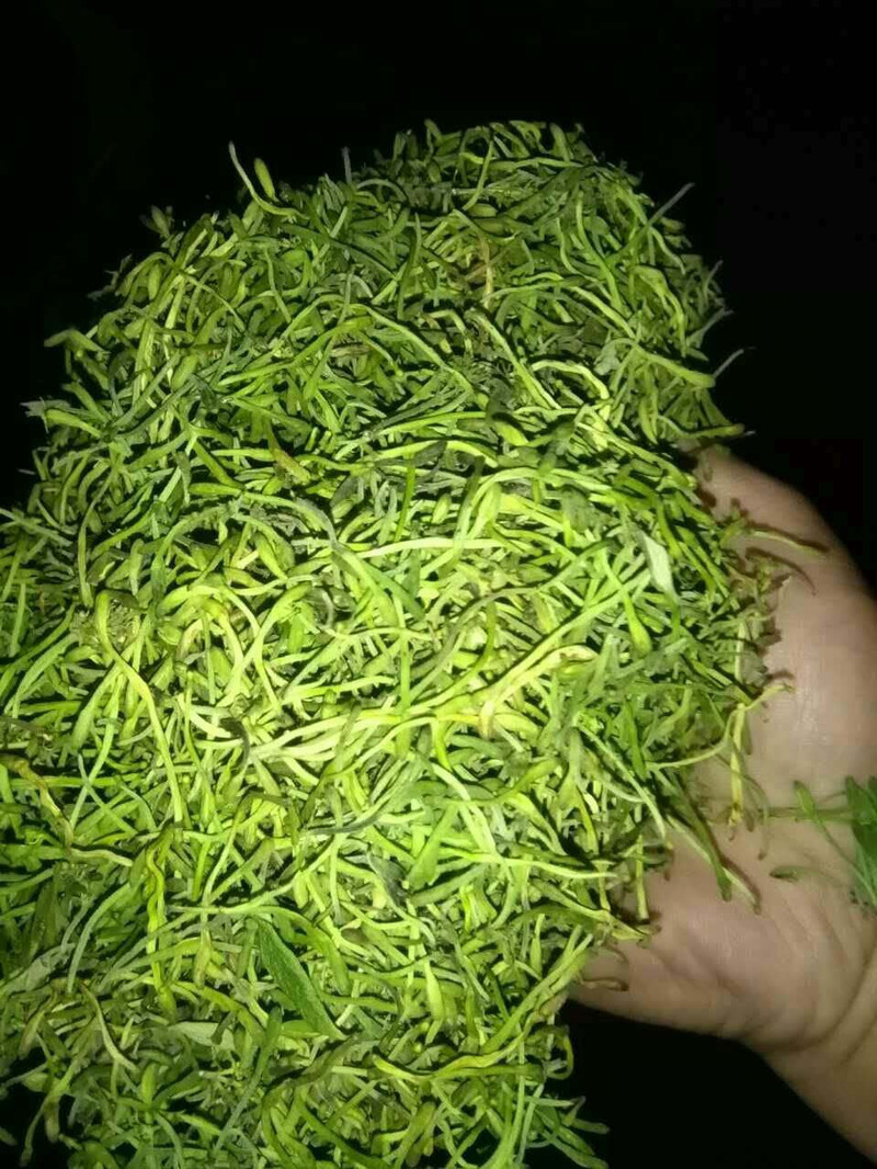 【邵阳隆回 神洲】朱三宝 银罐散装一级精选针银花茶 60G灌装*1罐