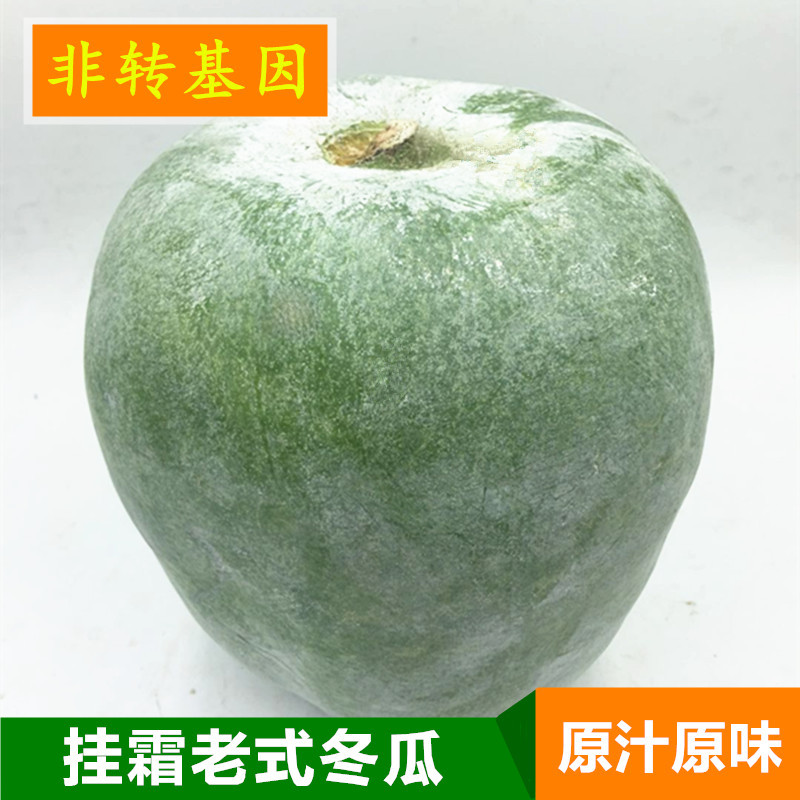 【聊城馆】莘香春无公害蔬菜迷你小冬瓜白皮冬瓜新鲜蔬菜 挂霜小瓜农产品包邮