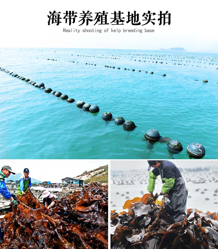 【农品扶贫】威海馆 盐渍海带头海带丝混装2500g快递包邮（偏远地区不发货）