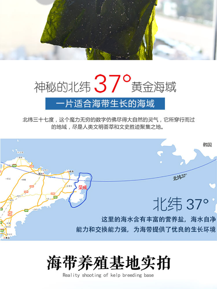 【农品扶贫】威海馆 新鲜盐渍海带边昆布2500g一件包邮（偏远地区不包邮）