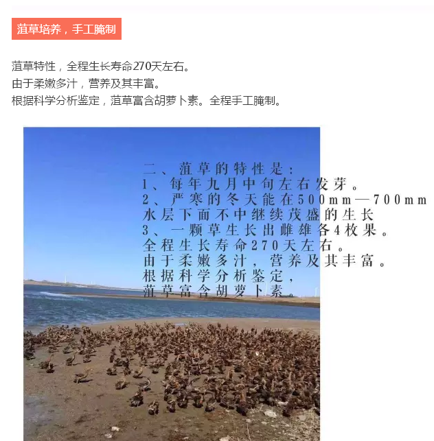 【沈阳馆】沈阳特产康平菹草红心鸭蛋 30枚 全国包邮（除青海 西藏 新疆 港澳台）