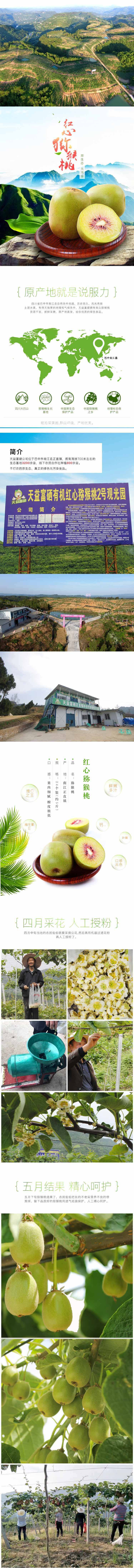   西西乐 南江高山红心猕猴桃奇异果孕妇水果应季水果30个装包邮（西藏、新疆、青海不发货     ）