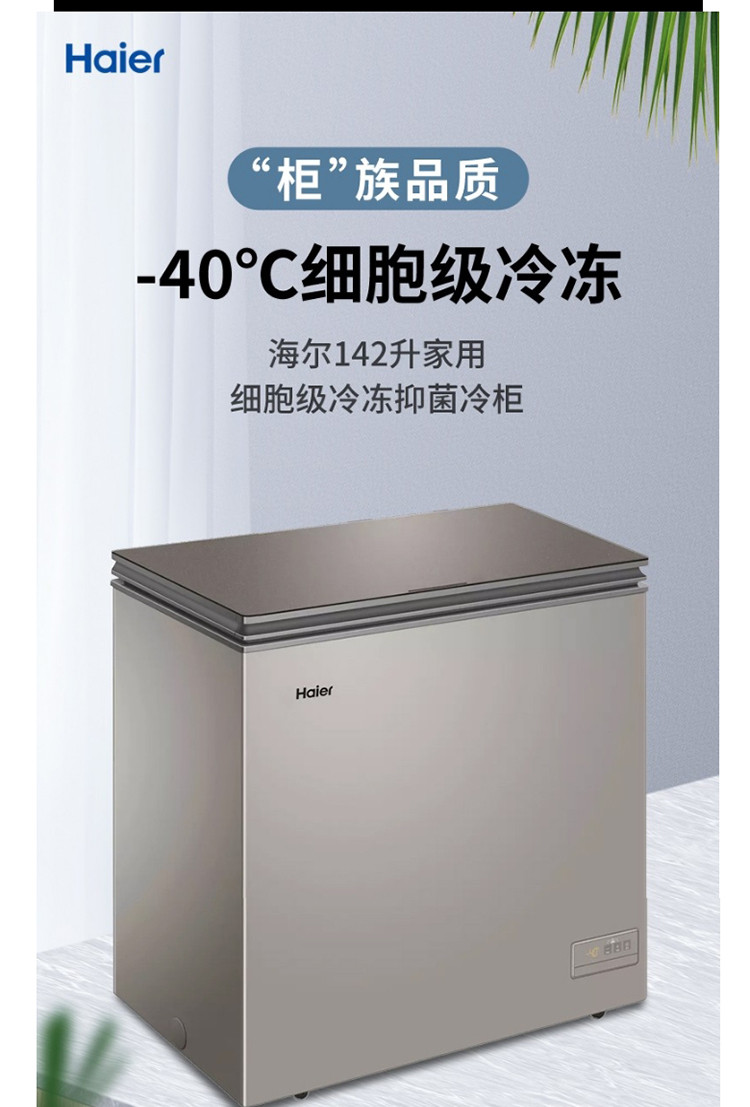 海尔/Haier 冰柜家用小型冷藏冷冻保鲜柜超低温小冰柜卧式商用冷柜 BC/BD-200HER