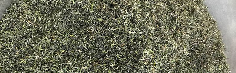 【青岛馆】正宗崂山绿茶2018新茶夏茶250g山东青岛特产茶叶散装豆香[全国包邮 偏远地区除外]