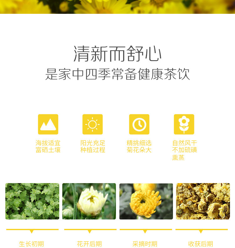 【仙桃富硒农产品】仙康菊花茶 花草茶 富硒茶 精选皇菊 礼盒装32朵 清热去火 包邮