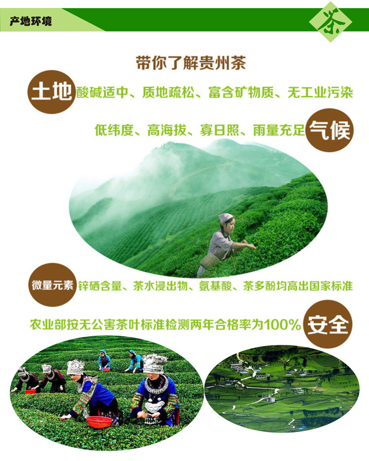 印江梵净山毛峰绿茶贵州茗茶200g 全国包邮