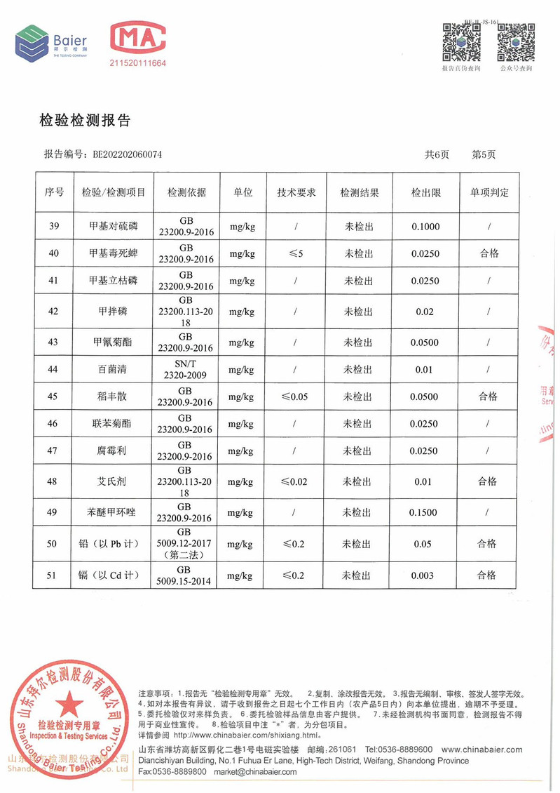 本来味稻 【东营市振兴馆】黄河口海水稻