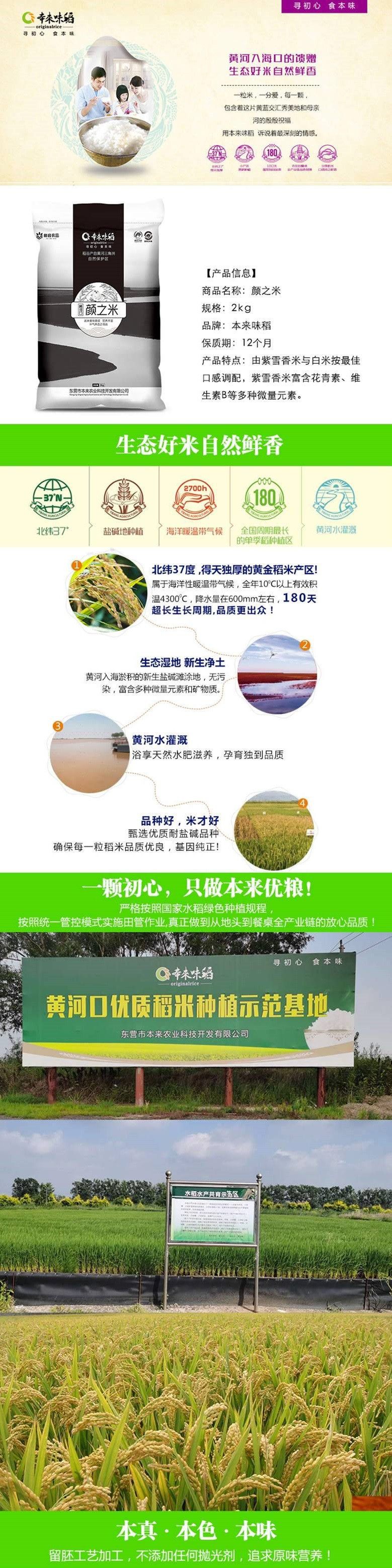 本来味稻 【东营市振兴馆】黄河口颜之米