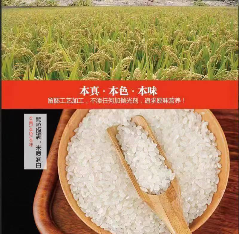 本来味稻 【东营市振兴馆】黄河口大米基地 生态米
