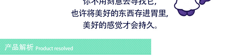 绿川然 蓝莓果卷 140克袋装 内蒙古 呼伦贝尔 特产 内置独立包装