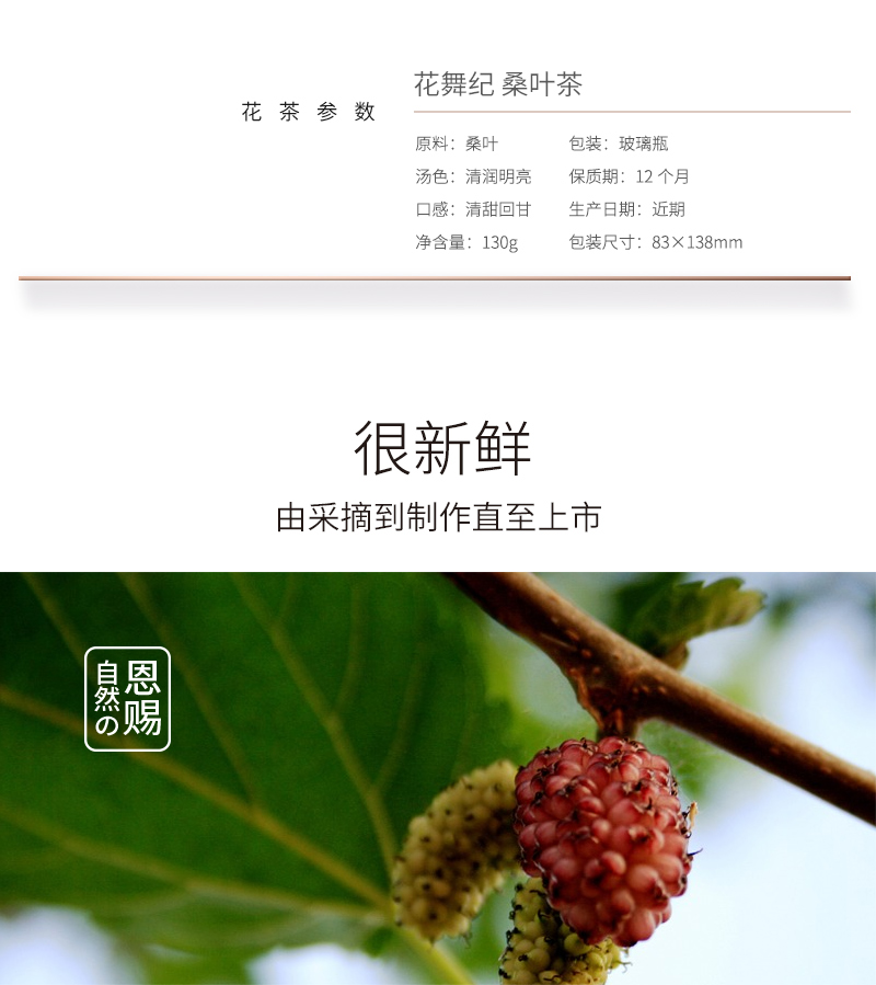 花舞纪桑叶茶 精选新鲜桑叶茶冬霜后桑叶茶130克瓶装包邮