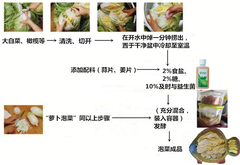 及时与原味活菌，乳杆菌护胃肠，保健康，调理便秘、胃炎、过敏、糖尿病、高血压、高血脂、高胆固醇、睡眠等