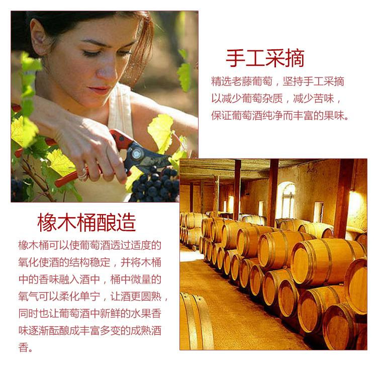 JINYU CHENG 赤霞珠珍藏整箱六桶装干红葡萄酒750ml*6瓶