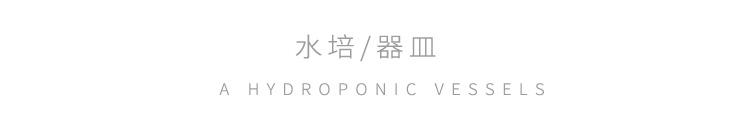 懒人园艺 创意木架水培绿萝玻璃容器办公室内桌面绿植现代摆件小清新装饰品