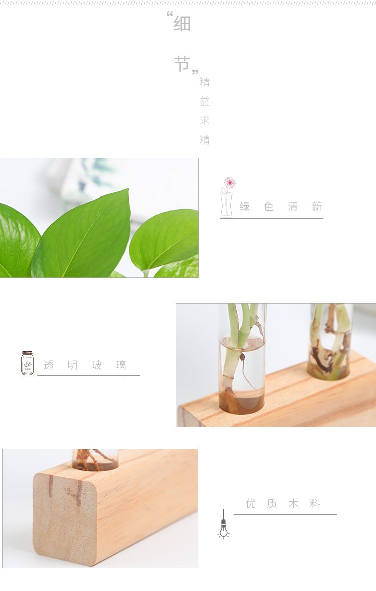 懒人园艺 水培植物创意木块试管容器现代摆件办公室内小清新装饰品桌面绿植