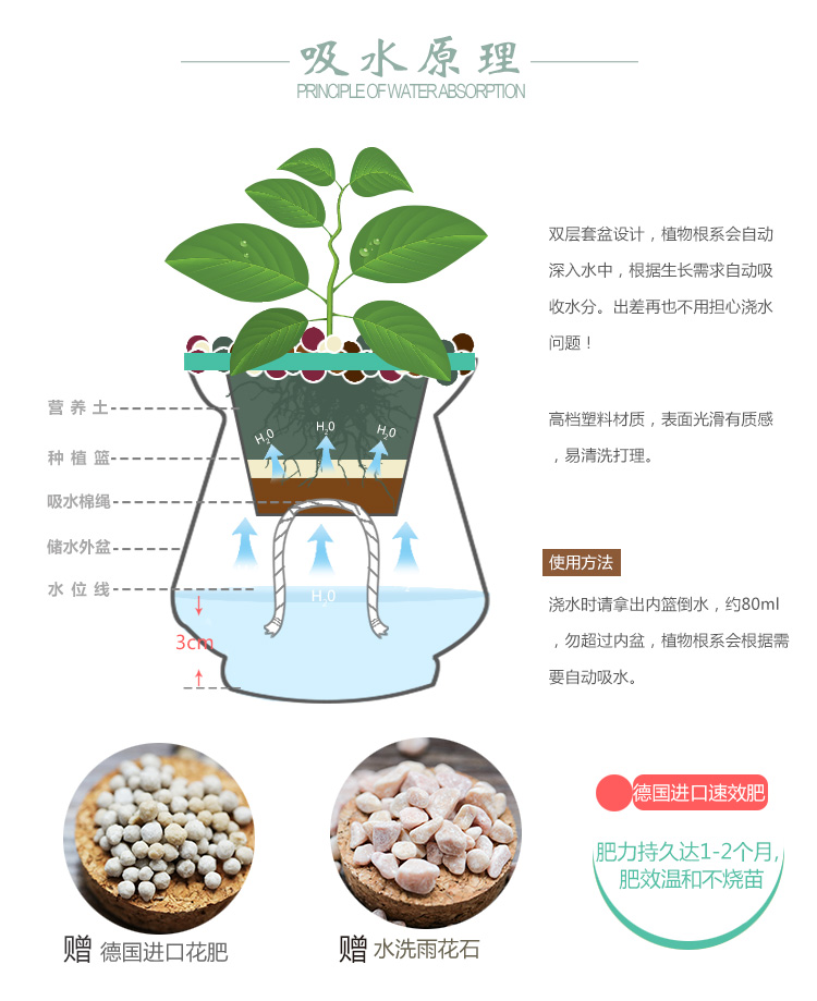 懒人园艺 仙客来盆栽带花苞重瓣长寿花室内花卉盆栽阳台花卉水培植物杜鹃花