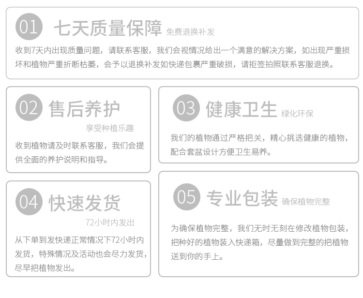 懒人园艺 铜钱草水培植物室内盆栽净化空气办公室盆栽花阳台客厅铜钱草花盆