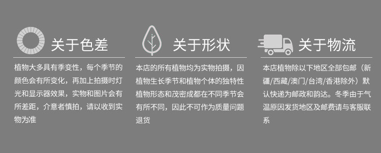 绿萝水培植物室内盆栽净化空气吸甲醛荷花竹铜钱草办公室绿植盆栽