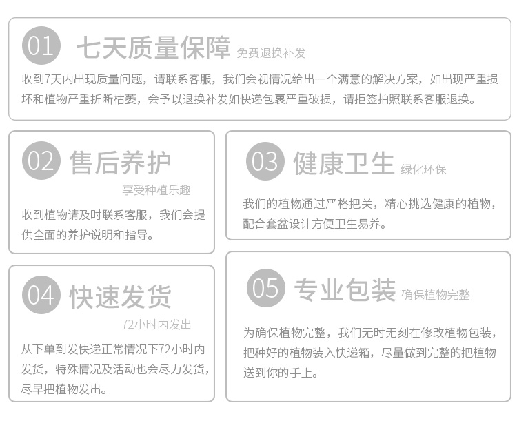 懒人园艺 白掌办公室盆栽发财树室内净化空气植物花芦荟吸甲醛阳台客厅绿植