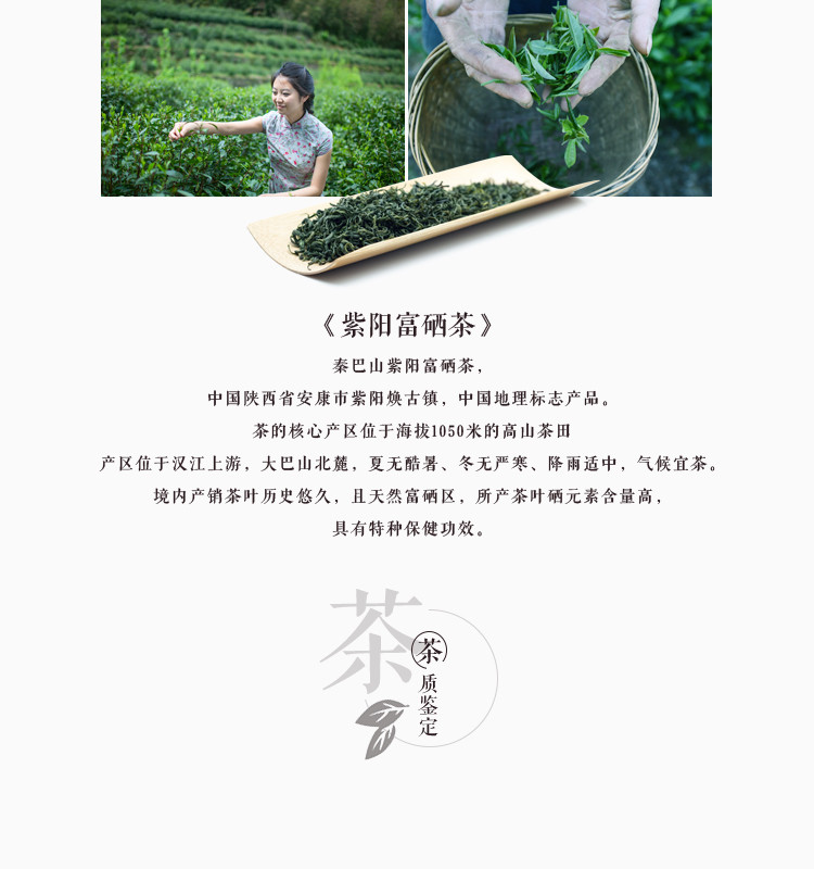 印象秦巴山 紫阳富硒绿茶+红茶体验装共8袋