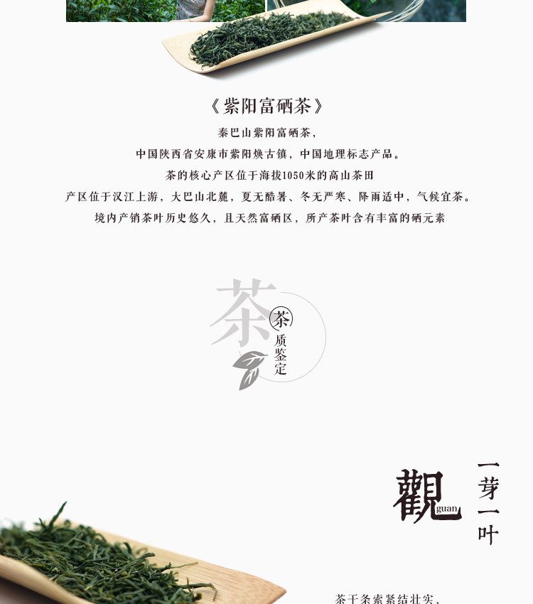 秦巴山富硒绿茶 黄百家姓 谷雨特级4盒×32g/条