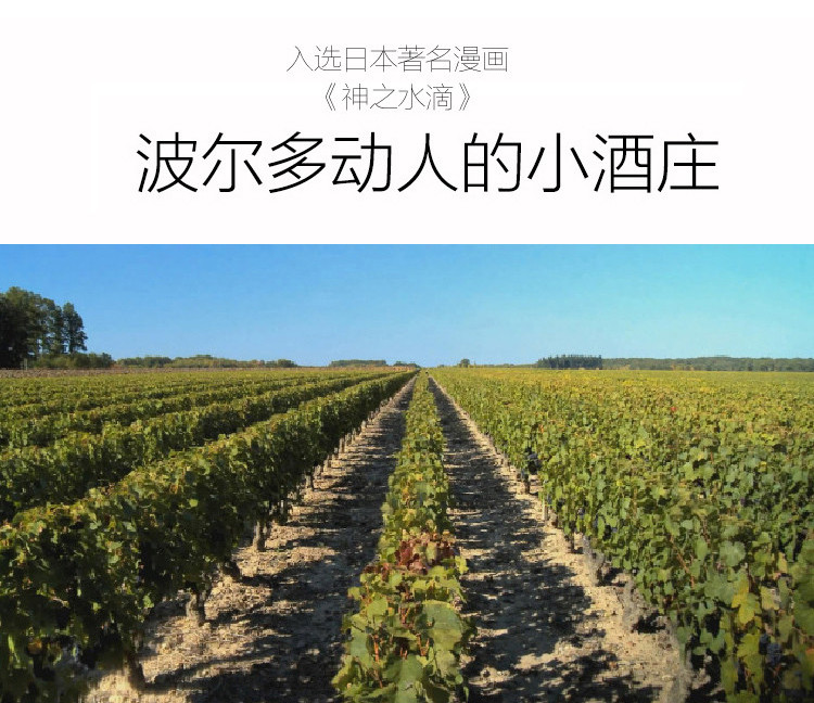 景皓汇 【神之水滴推荐酒】法国文森庄园干红葡萄酒750ML*六支装