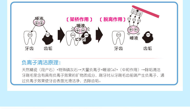 皓齿清川西 日本进口防尘套儿童负离子牙刷（1.5岁以上）