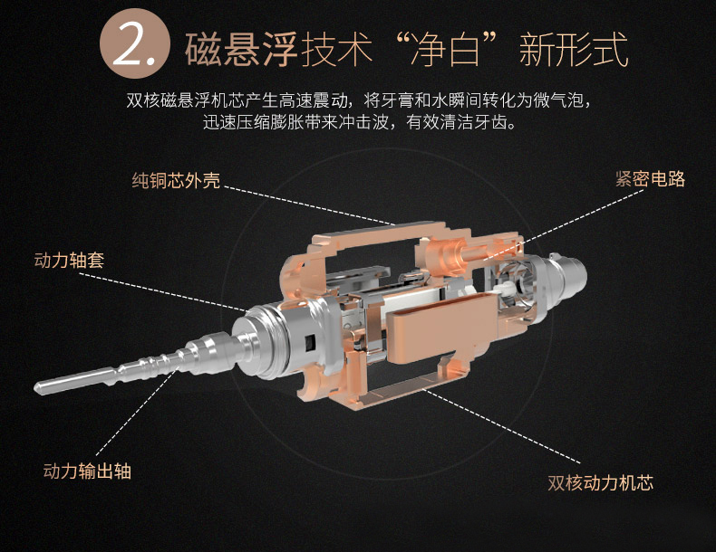 赛嘉s8电动牙刷软毛家用成人款充电式防水情侣声波全自动牙刷电动