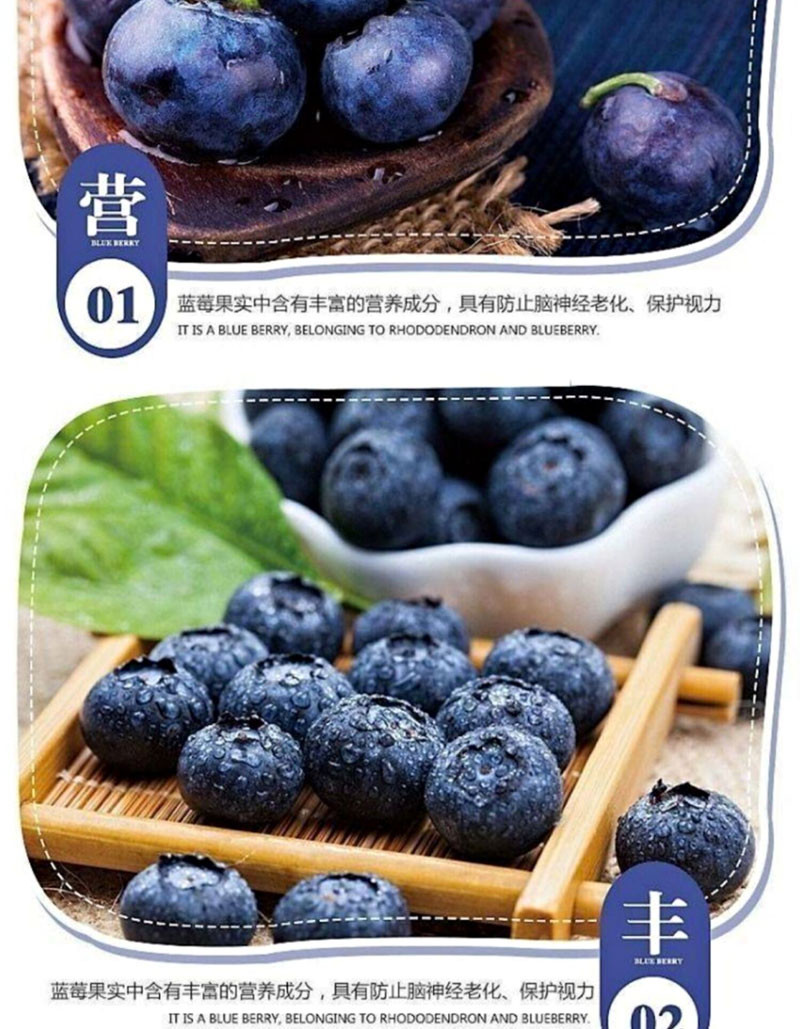 当季东北蓝莓鲜果 现摘 护眼 包邮 125g/小盒 8小盒/箱 2斤装 县乡村级不发货