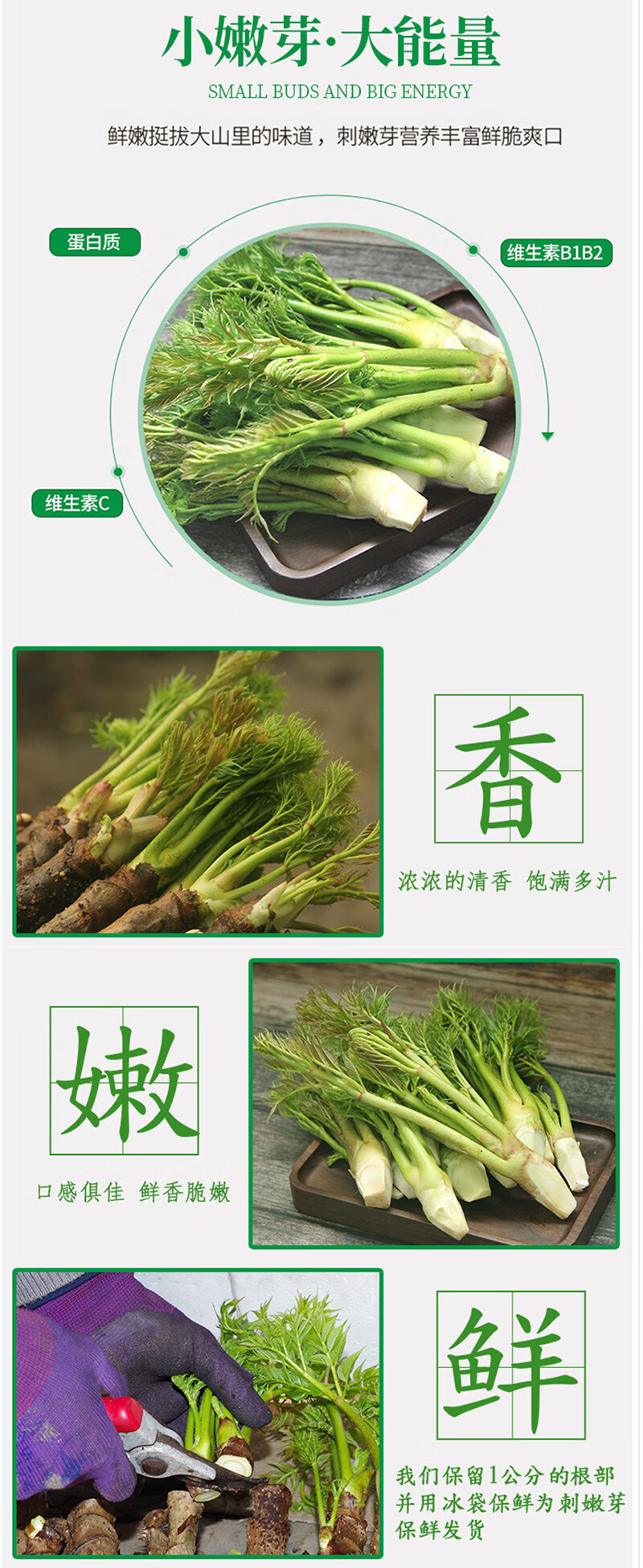 农家自产 山野菜刺嫩芽1kg/箱 （直播链接）