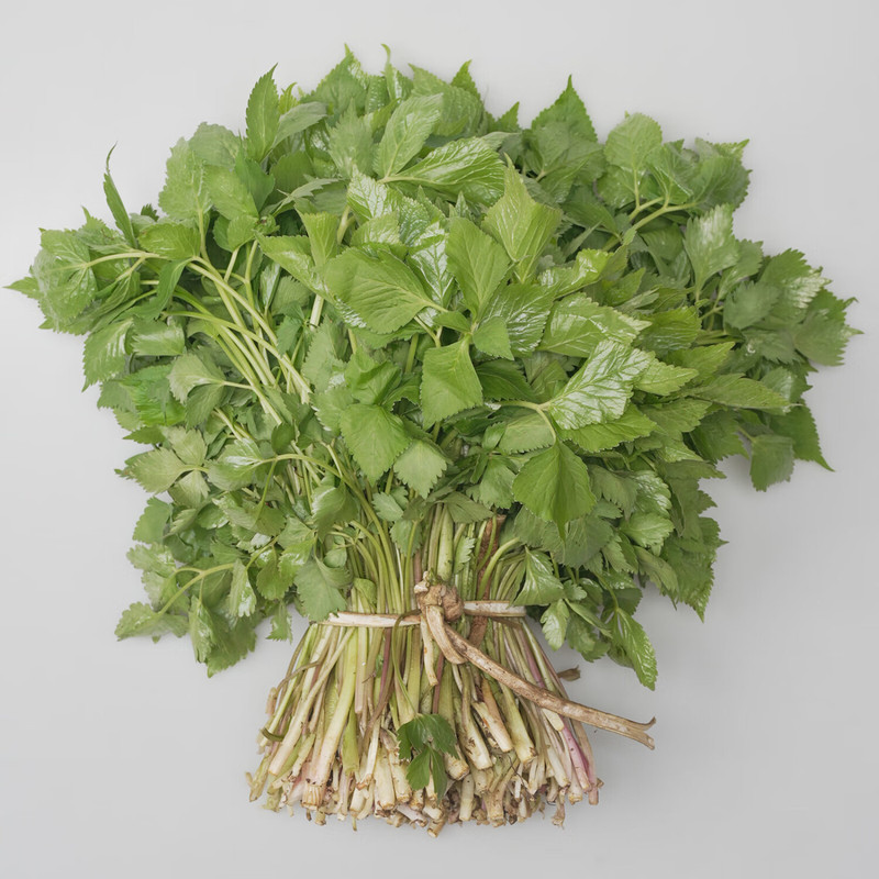 农家自产 山野菜 刺嫩芽1kg+大叶芹1kg （直播链接）