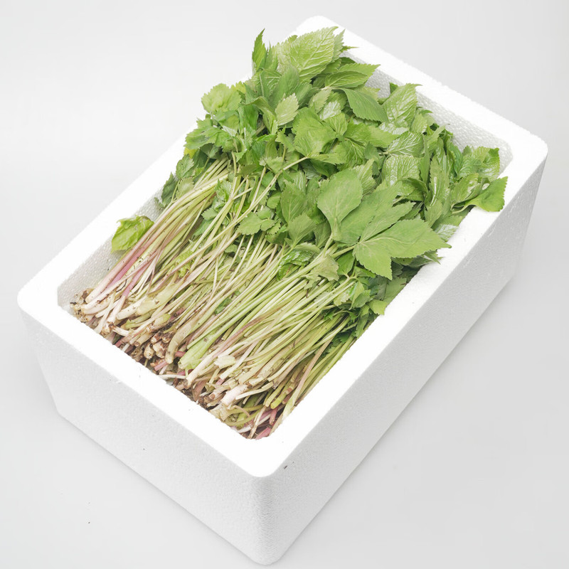 农家自产 山野菜大叶芹1kg/箱 （直播链接）