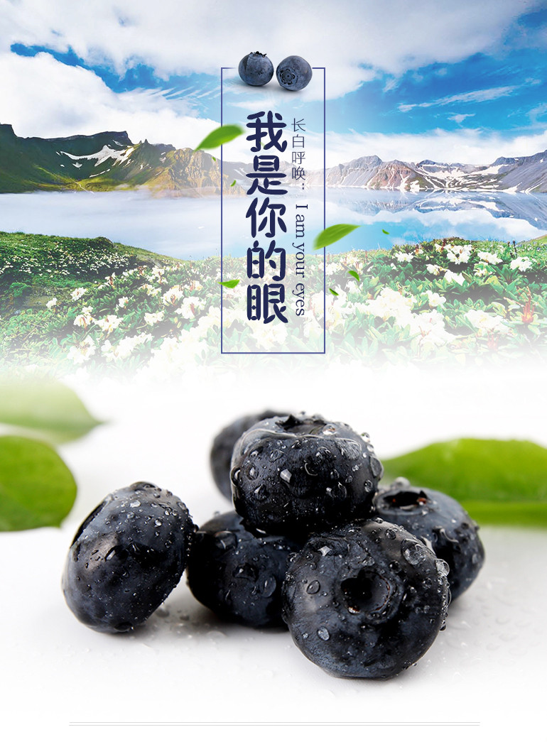 农家自产 长白山蓝莓15-18mm（净重1斤/箱 蓝丰） （兴边富民）