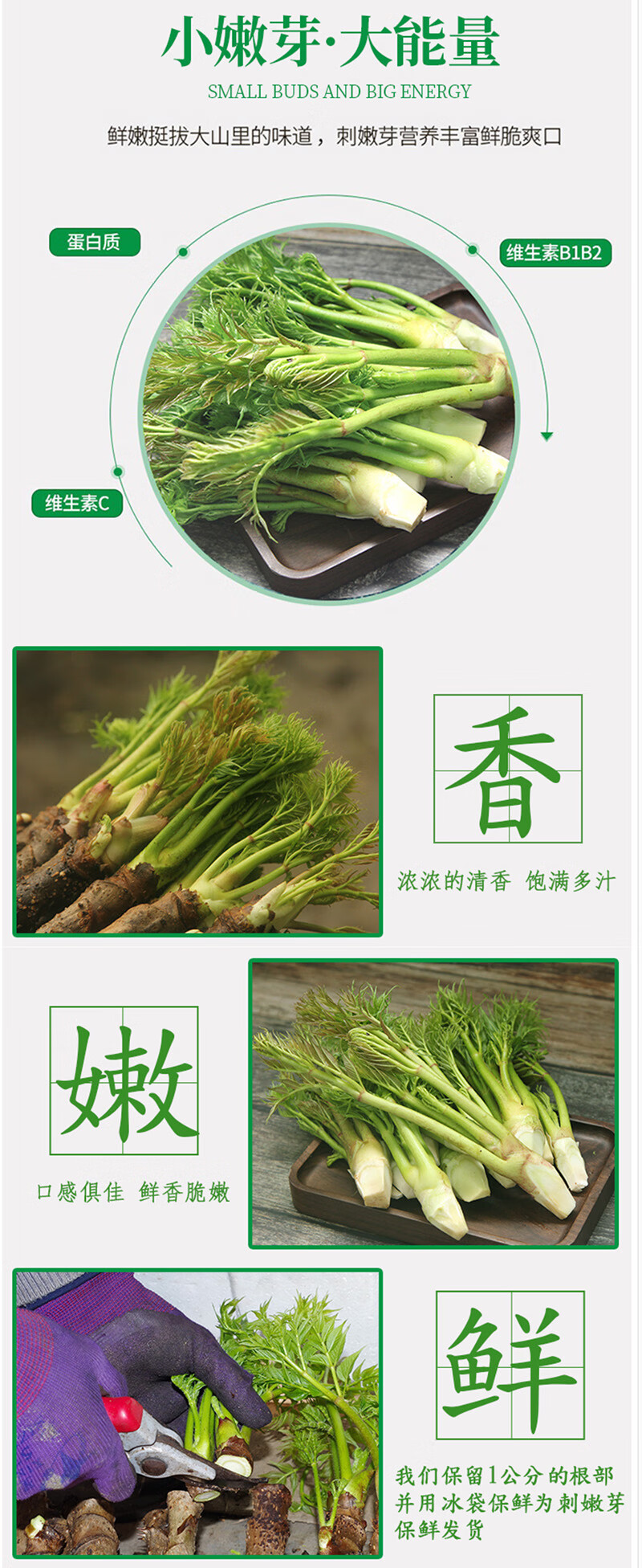 农家自产 山野菜刺嫩芽500g/箱（尝鲜装） （直播链接）