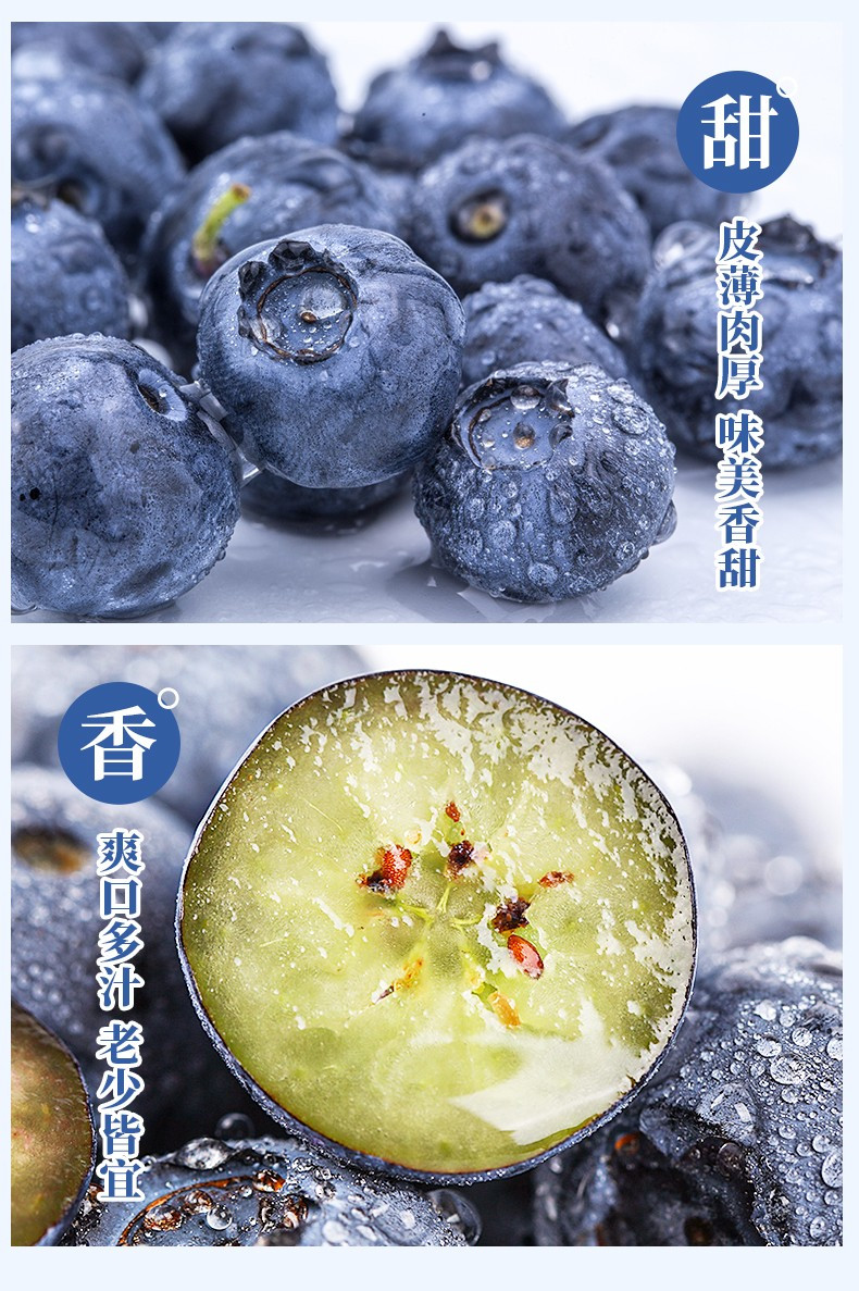 农家自产 长白山蓝莓混等（北路蓝莓）