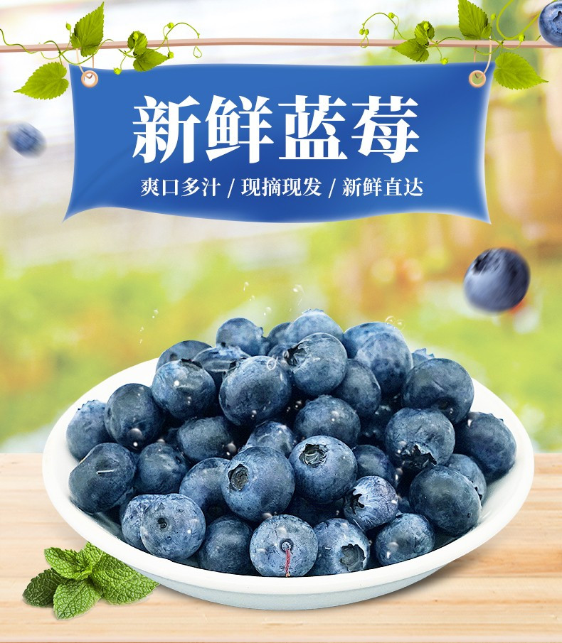 农家自产 长白山蓝莓混等（北路蓝莓）