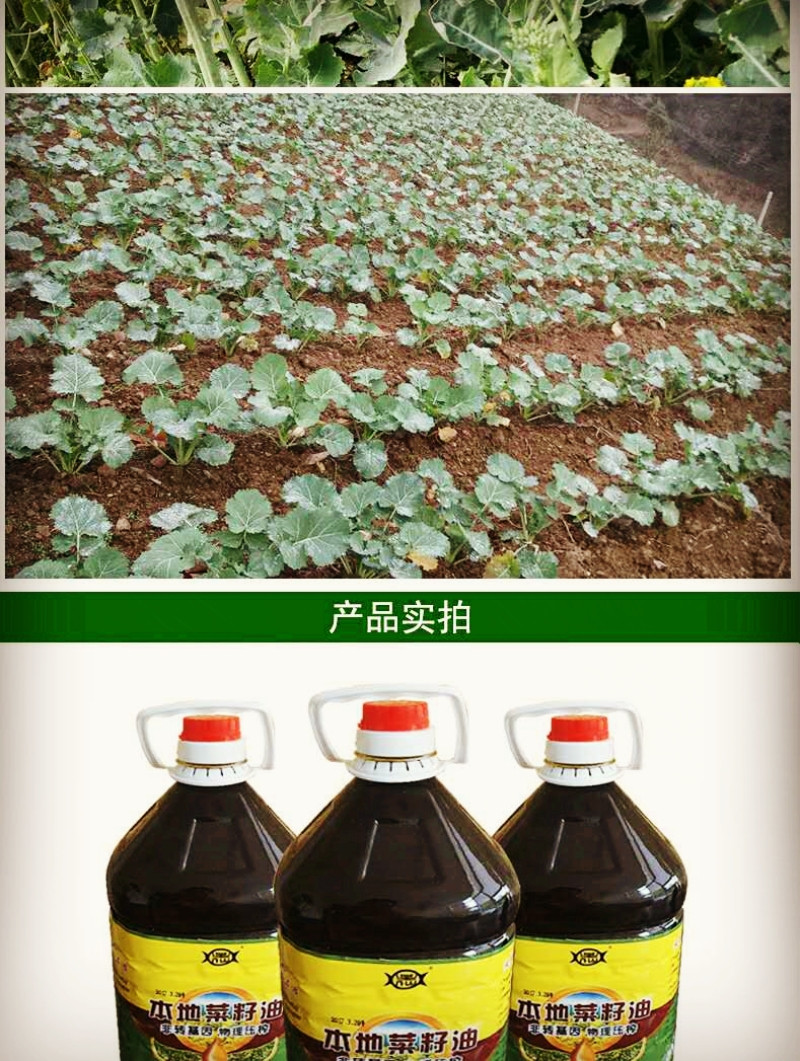 斑鹤 湖北恩施富硒鹤峰有机本地菜籽油2.5L/5斤装