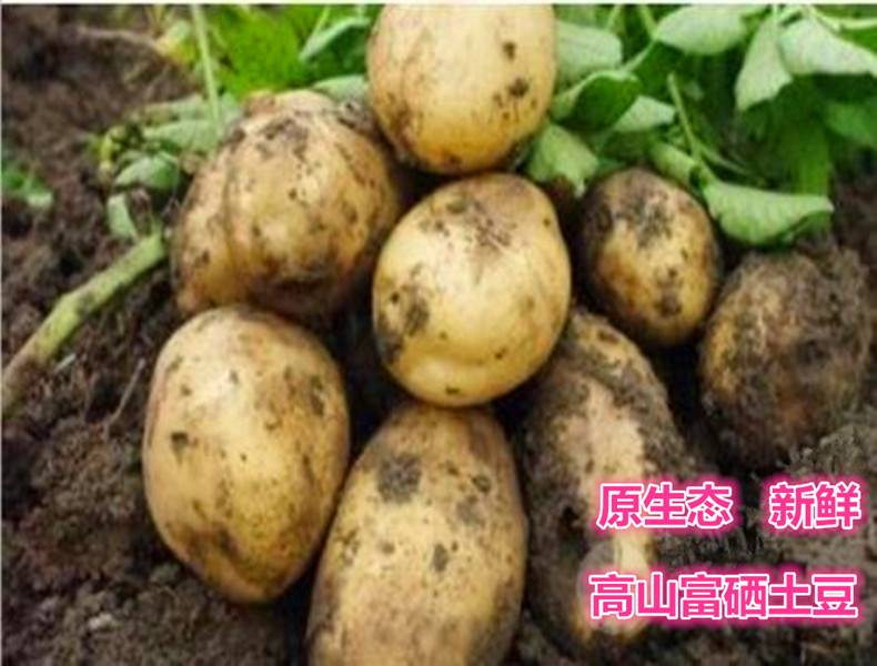 斑鹤 湖北恩施鹤峰斑鹤洋芋粉2500克/袋