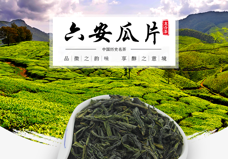 龙合新茶春茶安徽原产一级六安瓜片手工绿茶200g盒装精品茶叶